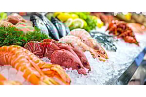 A vibrant display of fresh seafood, including large shrimp and red snapper, resting on a bed of Hoshizaki flaked ice to maintain freshness in a retail case