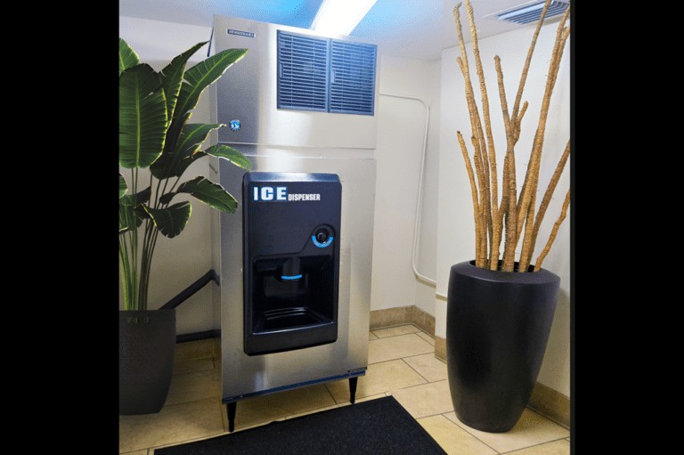 Stainless steel Hoshizaki ice dispenser placed in a hallway or lobby area next to a plant